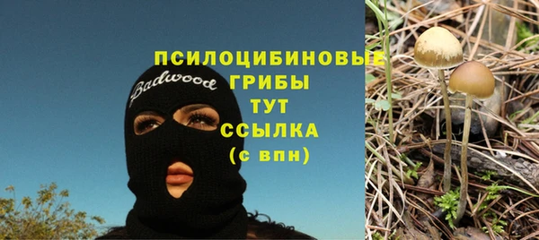 первитин Михайловка